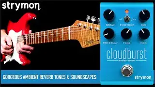 Strymon Cloudburst Ambient Reverb