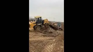 Dozers #shorts #shortvideo #dozers