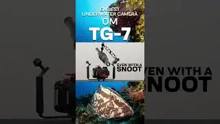 OM TG-7 #shorts