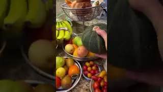 Farmers’ Market Haul