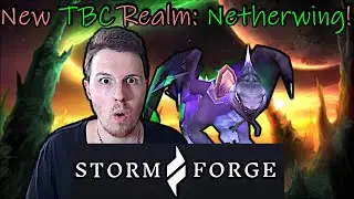 Stormforge's Netherwing: Everything You Need to Know!