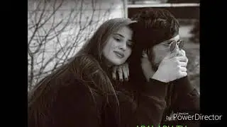 Qizil atrgul