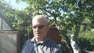 ЭмЭко на садовом участке в 3 сотки.