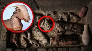 13 of the Coolest (and Creepiest!) Egyptian Animal Mummies