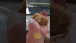 У каждого должен быть шанс🙏
