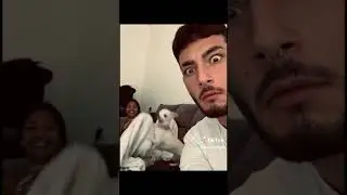 Dog මේච්චර සැරද? ඔයාලට ඉන්න සත්තු කියන්න #dogs #cats #birds #rabbits #animals