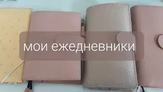 как я использую свои ежедневники. kinbor, my planner