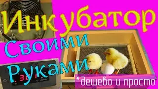 Инкубатор своими руками