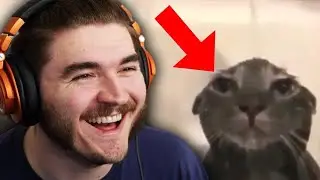 Ranking Your RIDICULOUS Tiktoks