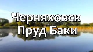 Черняховск. Пруд Баки (05.06.2024)