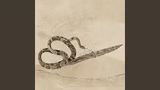 The Knife