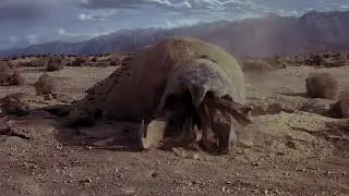 Graboid & Shrieker (Sound Effects)