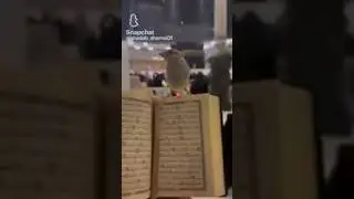 Mashallah Makkah haram Sharif live video  #abdullah #khan #reelyoutube