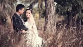 Z Wedding Reviews #84