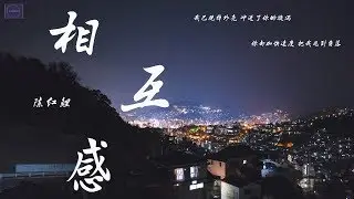 陈红鲤--《相互感demo》『付出太多就别奢求安全感  对方不还 只能坏账』