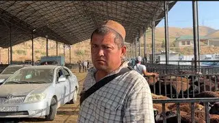 2024 29 июля Алиматов оптом мол бозор Кисми 2