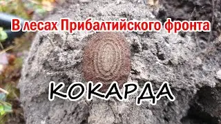 В лесах Прибалтийского фронта. Кокарда из Первой мировой./ Cockade from the First world war.
