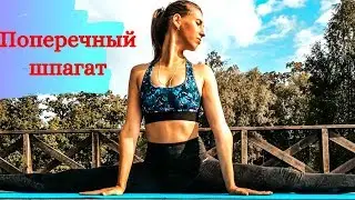 Как сесть на шпагат? Эффективный комплекс на поперечный шпагат. стретчинг