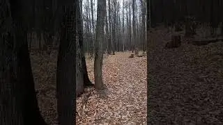 Мэхэббэтем. Моя любовь❤