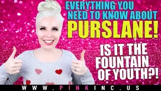 Everything You NEED To Know About Purslane! Is It The Fountain Of Youth?! | Tanya Feifel-Rhodes