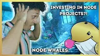 Node Whales: This is MORE then Just a Lottery (huge potential gains)