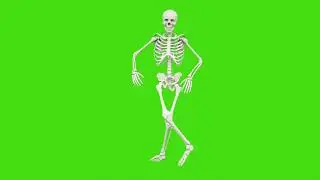 Free footage. Skeleton dancing. Seamless loop animation on green screen.