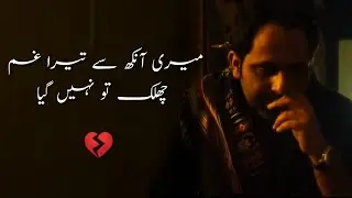 Tehzeeb Hafi Poetry in Urdu🔥 || Sad Shayari 💔 || Best Heart Touching Lines 💘 - Urdu Status