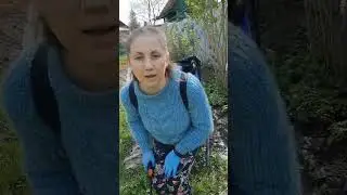 #дача #клубника