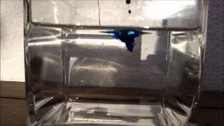 Slowmotion ink in water