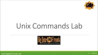 Unix Basic Commands