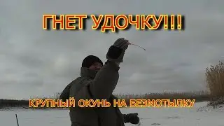 ГНЕТ УДОЧКУ!!! ловля крупного окуня на безмотылку.зимняя рыбалка.ПЕРВЫЙ ЛЕД