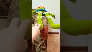 Жиза 😂 #shortvideo