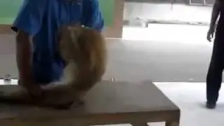 НАСТОЯЩИЙ СПОРТСМЕН!!!