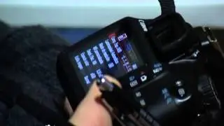 Curso de Fotografía Digital en Alicante