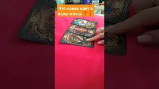 29 июля 2024 г.