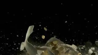 Blizoo TVC