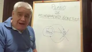 Como fazer um plano de melhoramento genético.