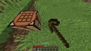 Kis survival / MINECRAFT