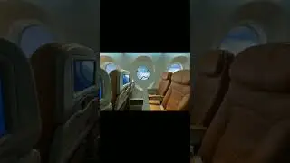 /TSC теперь стюардесса 😂/ 