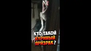 Who is the Chicken Ghost? | Chicken Ghost | Trevor Henderson's Creatures