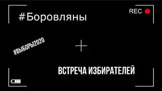 Встреча избирателей в Боровлянах - без имени