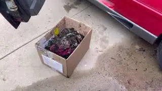 Esprit update 3 - more cleaning and assessment