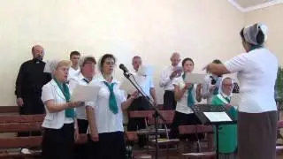 Дух Святой Тобой как силой я стремился обладать.