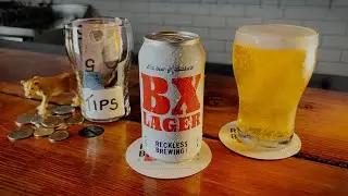 Reckless Brewing BX Lager - Cougar