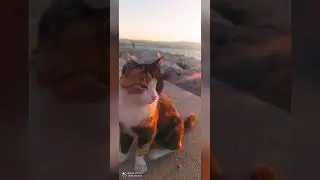 Bayram Hazırlıklarının Son Günü