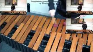 A.Vivaldi - Summer(Storm III mov.) by Miroslav Dimov on Marimba
