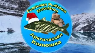 Как поймать Арктическую колюшку на Ледяном озере [АРХИВ] | Реальная Рыбалка
