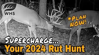 How To Follow And Hunt The 2024 Rut