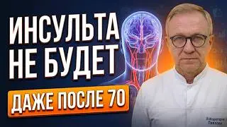 Мозг нуждается в хорошем кровоснабжении? 7 простых привычек, которые помогают поддерживать здоровье