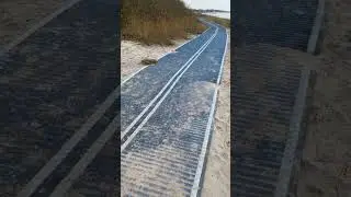 Road for dogs 😝